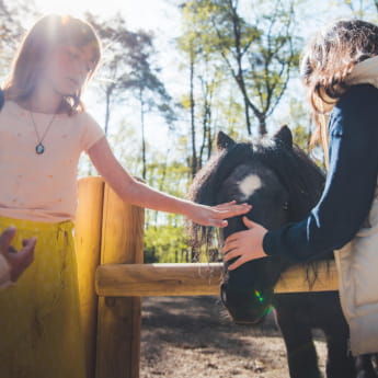 Parc Argonne Découverte