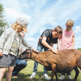 Parc du petit Prince