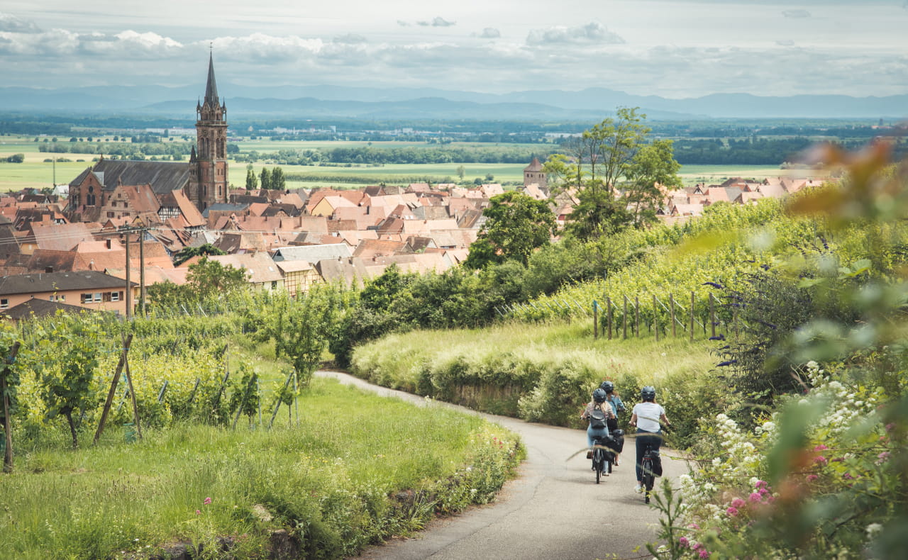 Balade en vélo à Dambach-la-ville